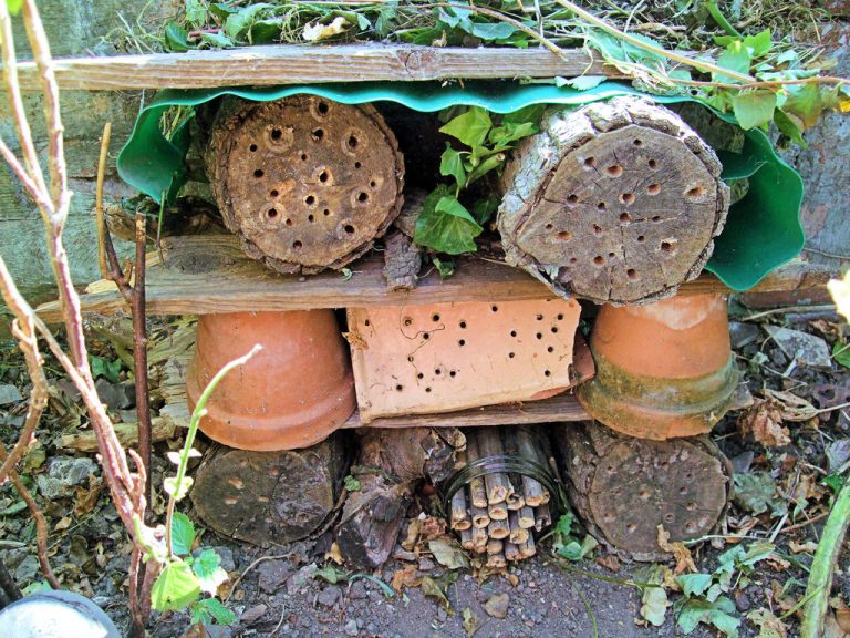 bug hotel