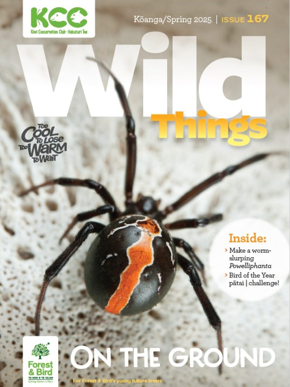 WT 167 cover