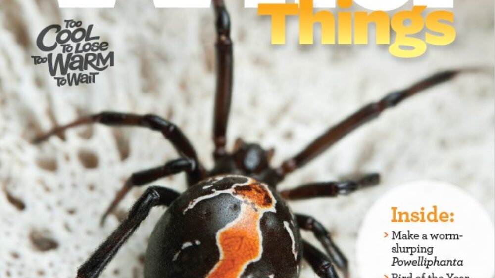 WT 167 cover