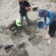 Digging up the past in Kapiti