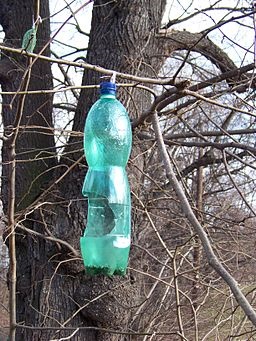 recycled bottle feeder