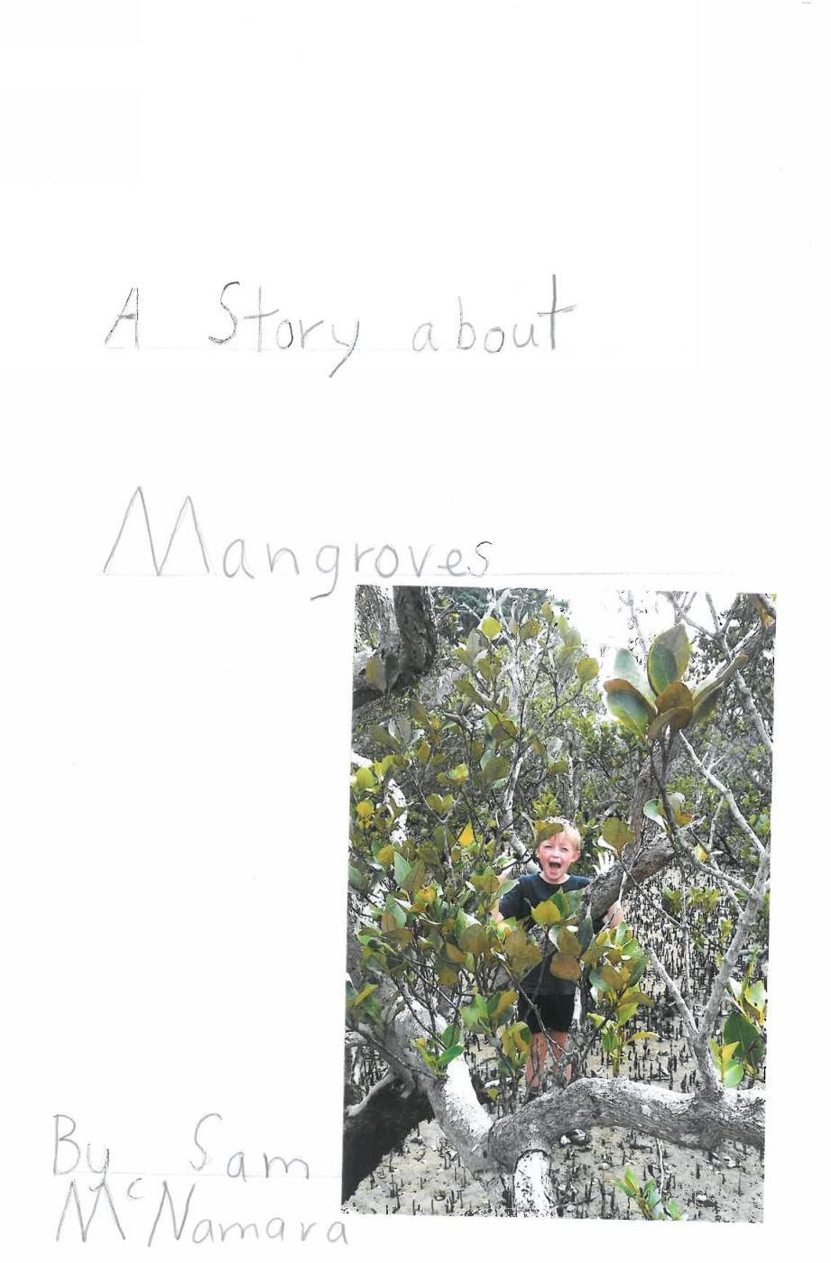 mangrove-story-cover-page