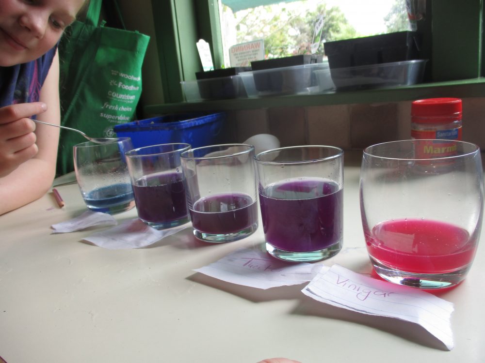 red cabbage experiment discussion