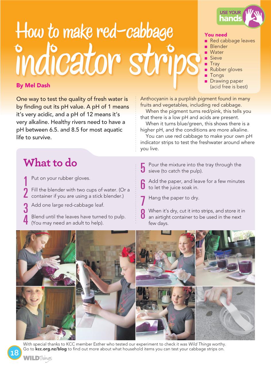 Make Red Cabbage Indicator Strips Kiwi Conservation Club,Cat Breeds List