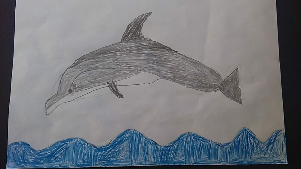 Bottle nose dolphin by Louis