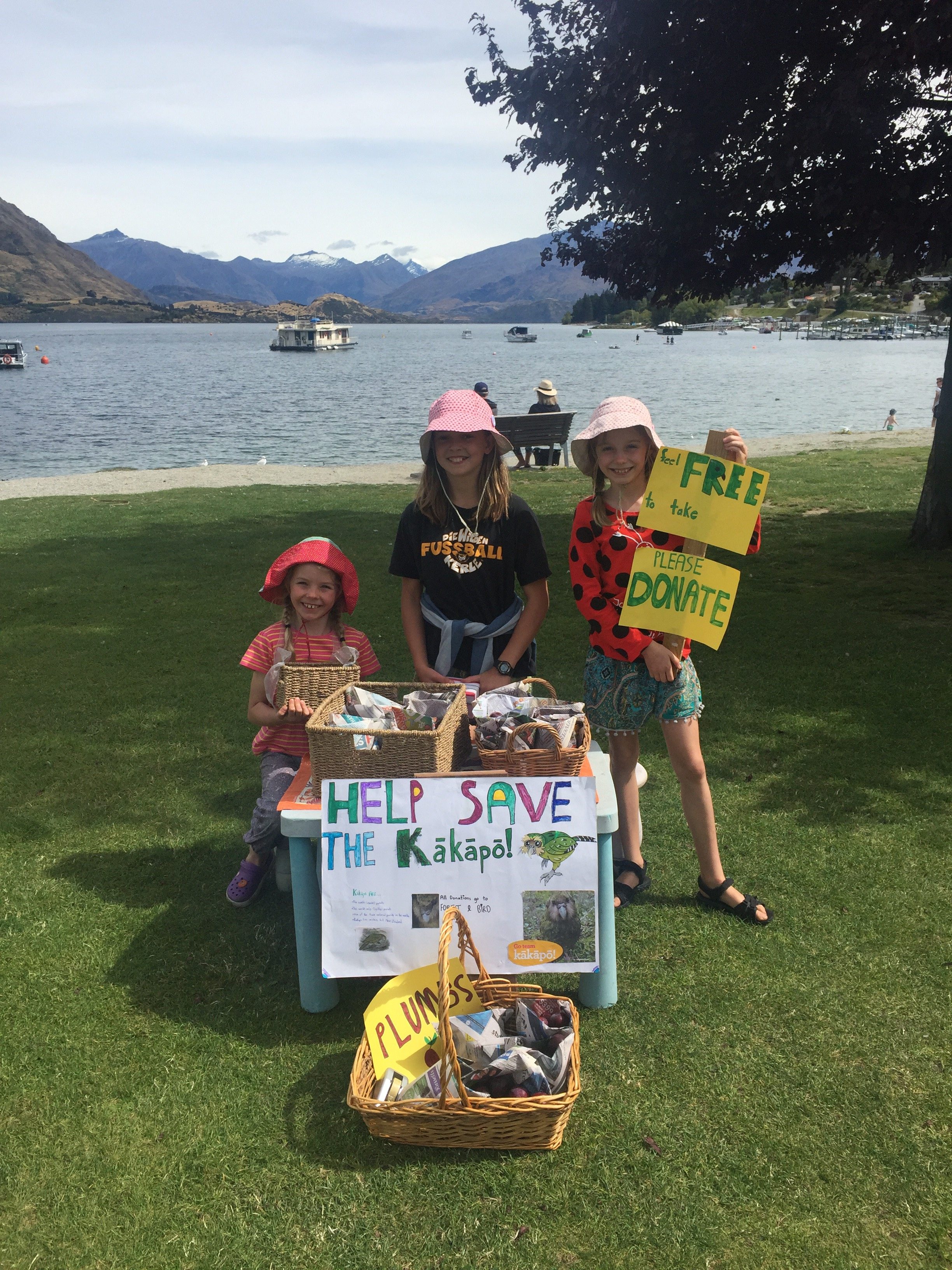 Fundraising for the Kākāpō