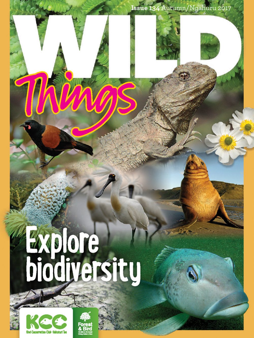 KCC_WildThings_132_Spring2016_cover-L