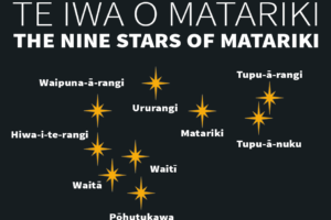 Te Iwa o Matariki | The Nine Stars of Matariki