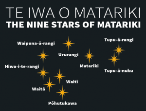 Matariki Graphic - With Title (1)