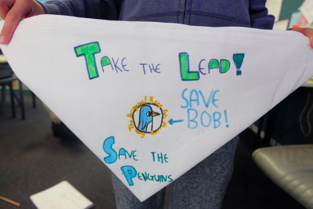 Save Bob! Photo by Paul Stanley-Ward.