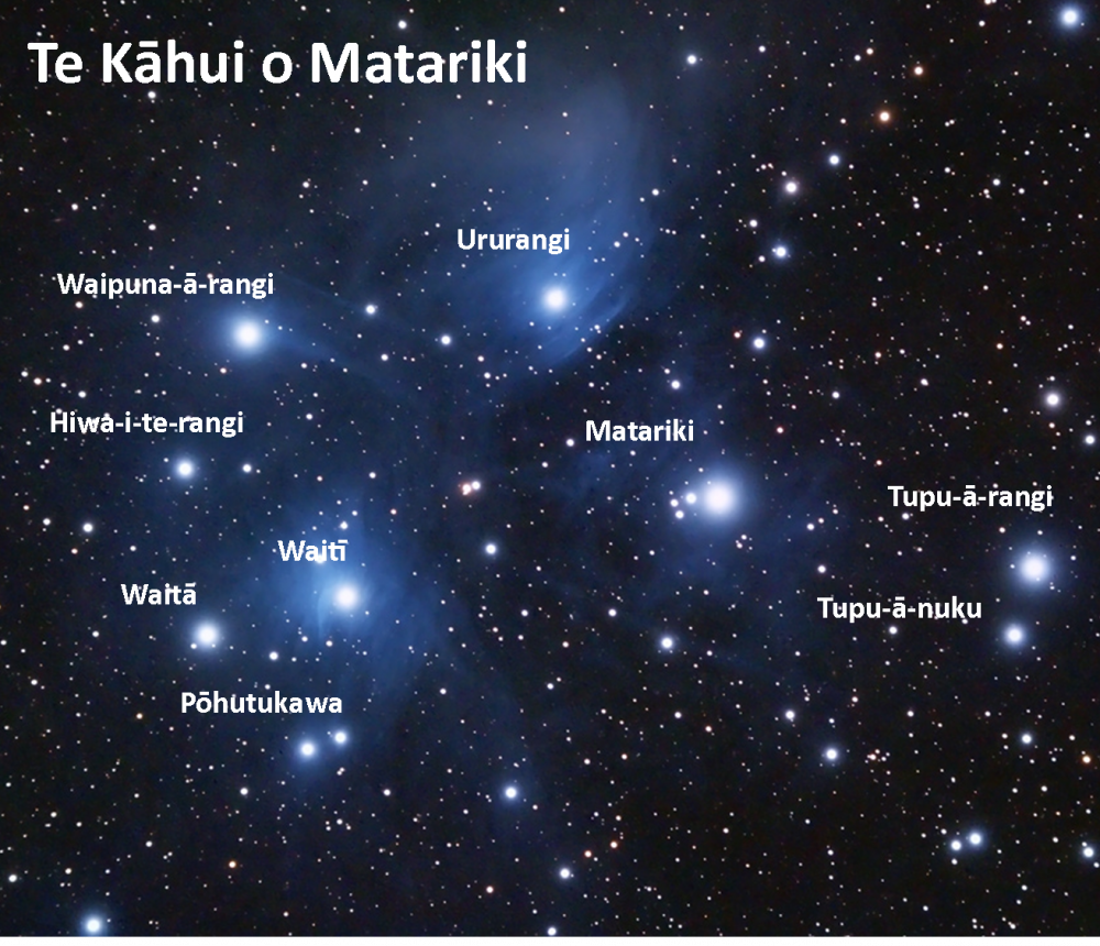 Finding Matariki Kiwi Conservation Club