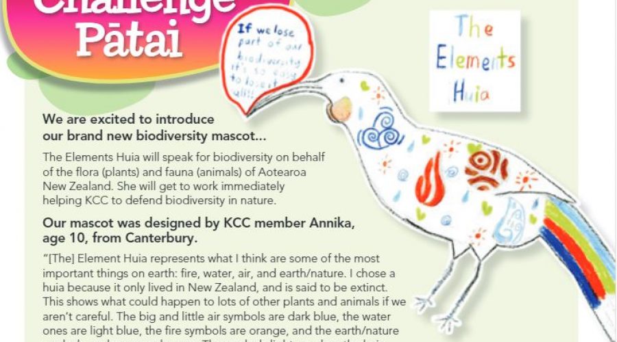 KCC Mascots: Introducing The Elements Huia – our biodiversity mascot