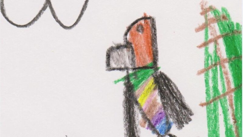 Bird by Charlie, age 5