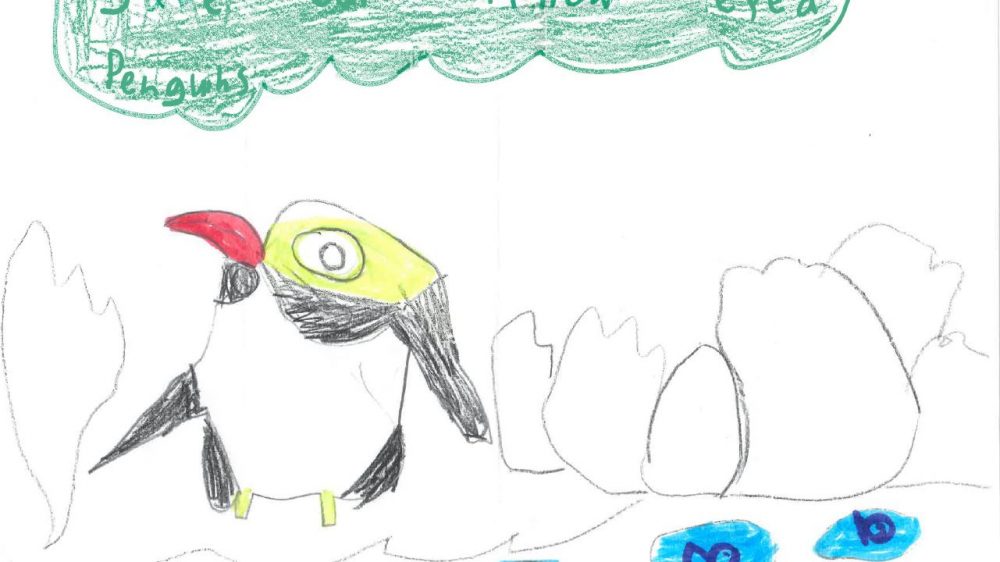 Mila – once i saw a blue penguin at Quail Island