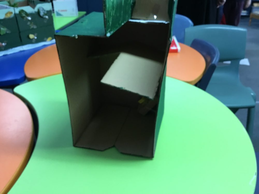 Penguin Box Challenge – Kiwi Conservation Club