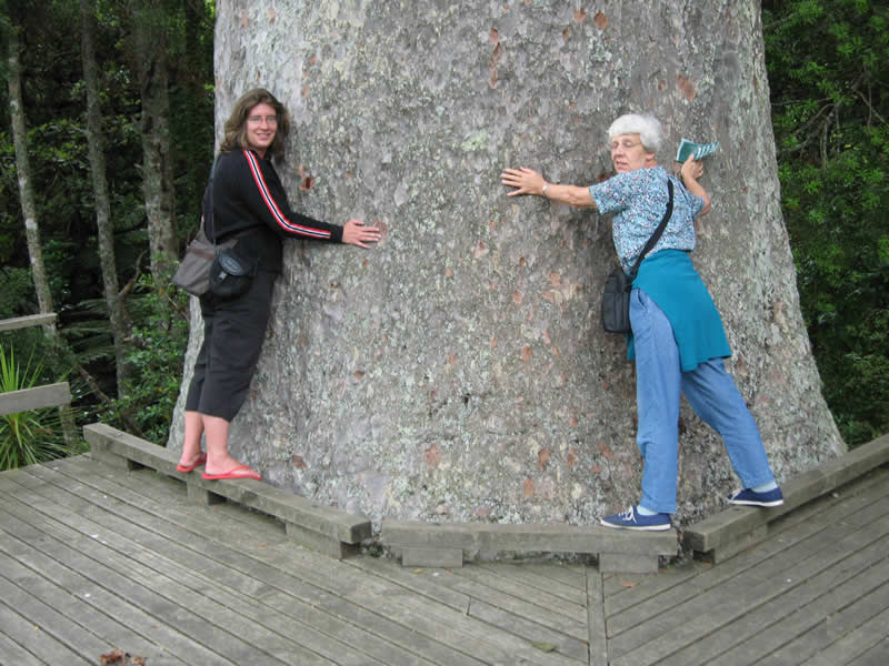 Meet the Giants at Parry Kauri Park