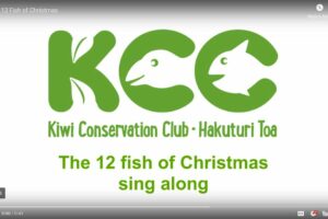 VIDEO: The 12 Fish of Christmas