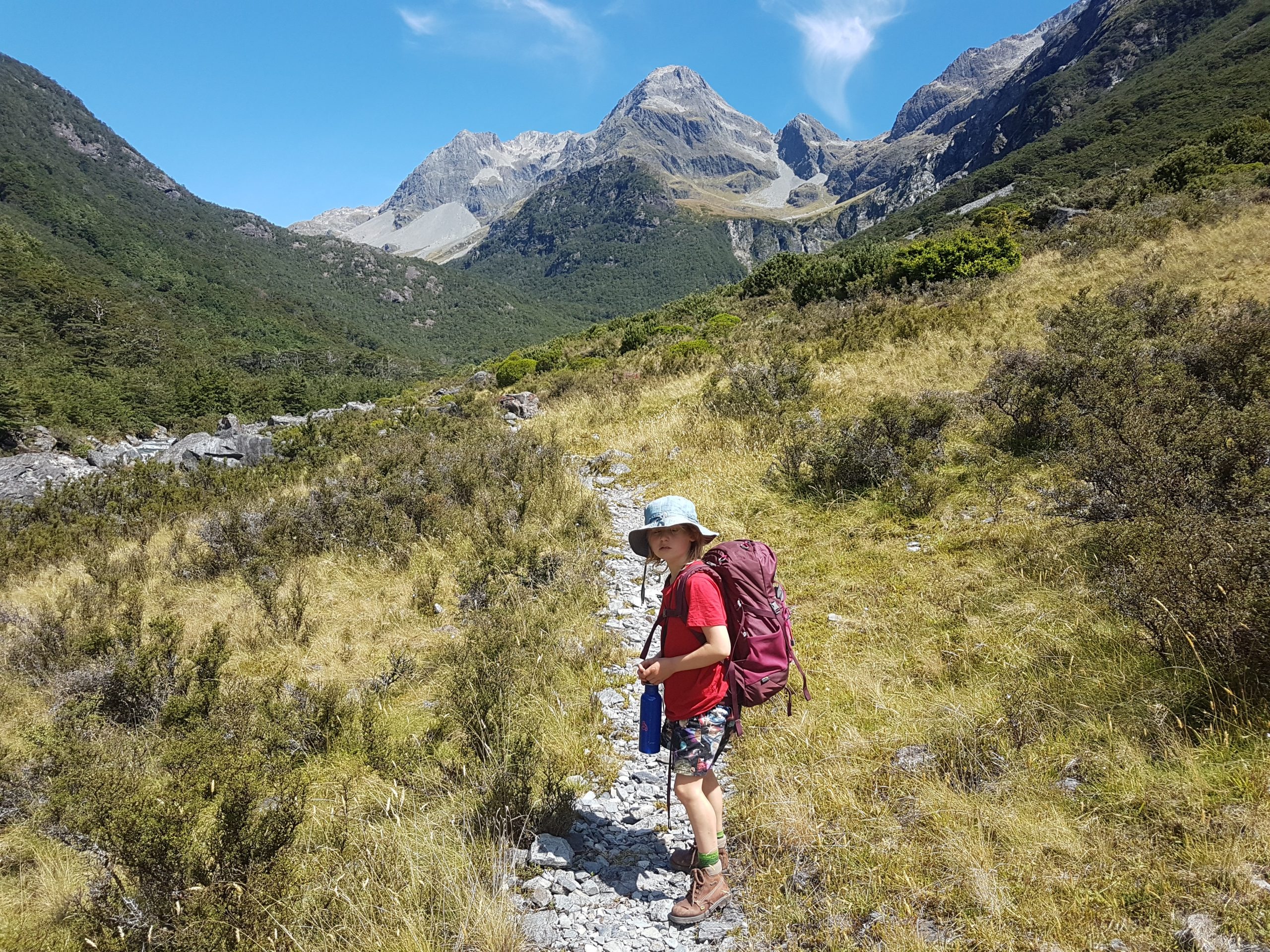 Being a Hut Warden – Kiwi Conservation Club