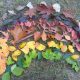 Our Leaf Rainbows