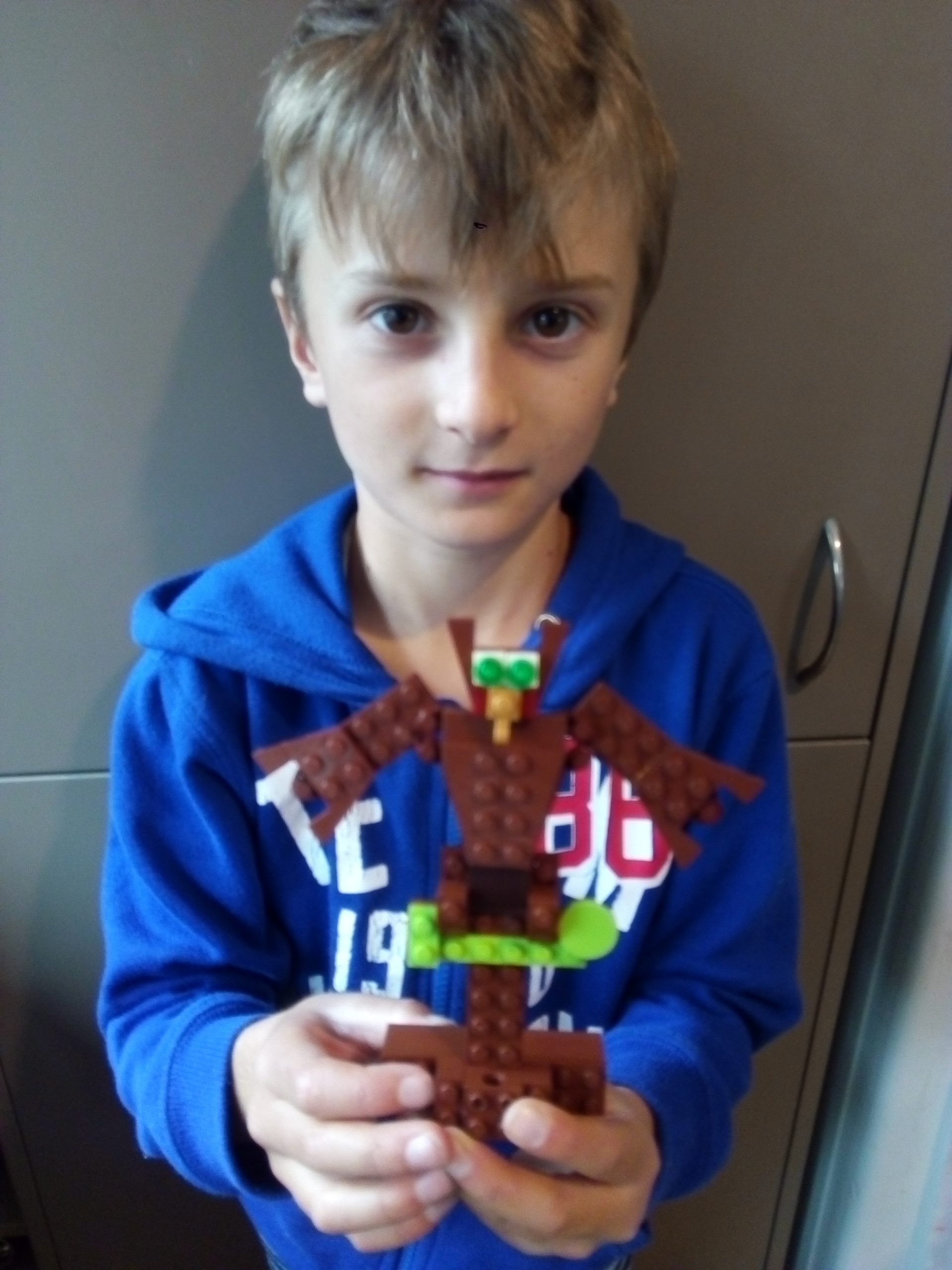 LEGO Critters by KCCers – Kiwi Conservation Club