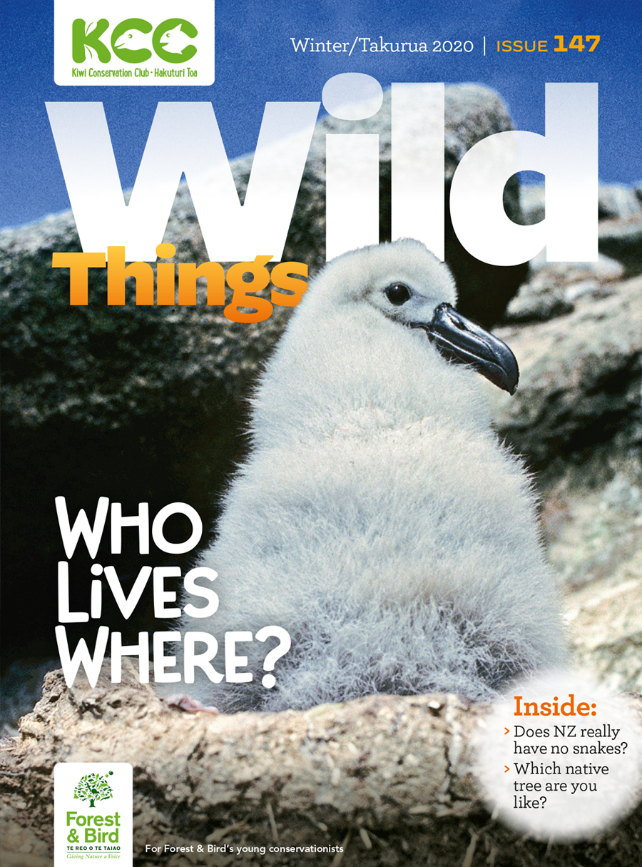 Who Lives Where? – Kiwi Conservation Club