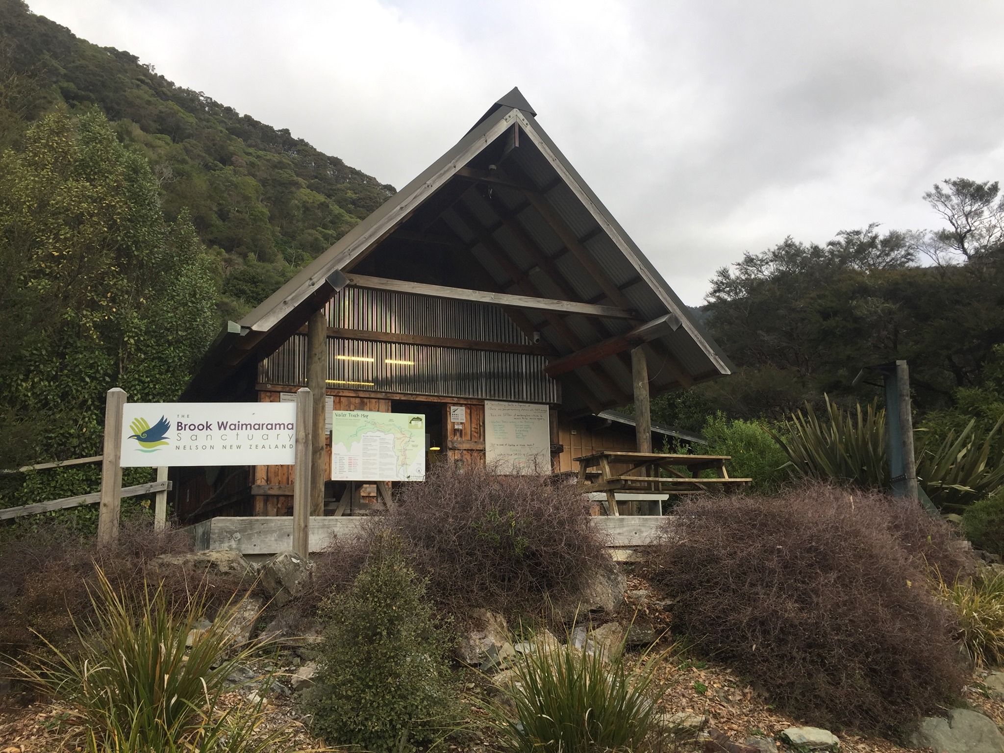 Brook Waimārama Sanctuary Visit