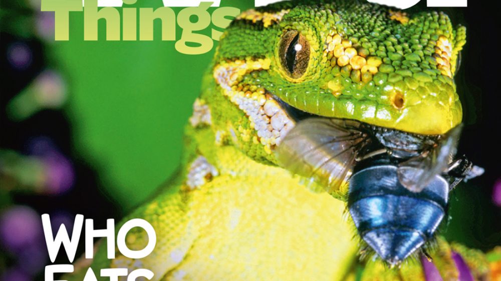 KCC_WildThings_148_Spring_2020_cover-L