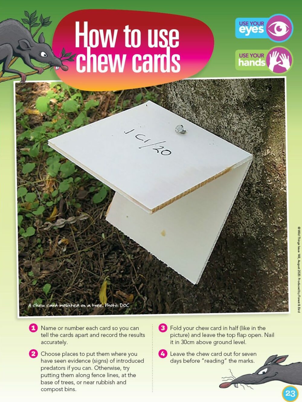 chew cards 1