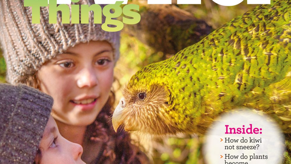 KCC_WildThings_149_Summer_2020_cover-L
