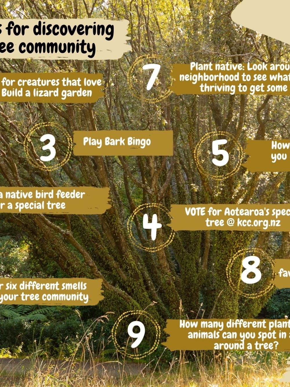 9 ways to celebrate Be with a Tree