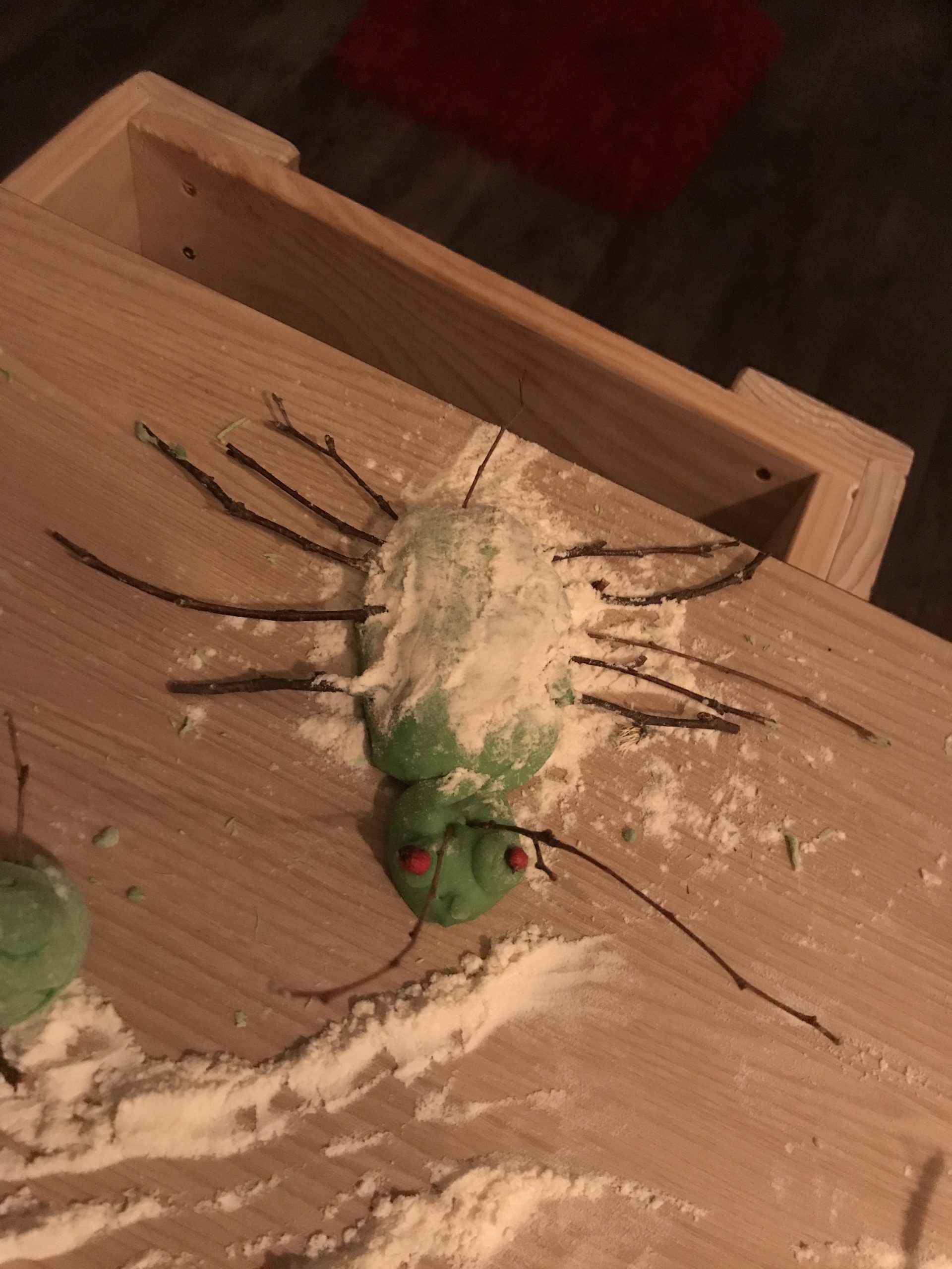 Lockdown playdough insects