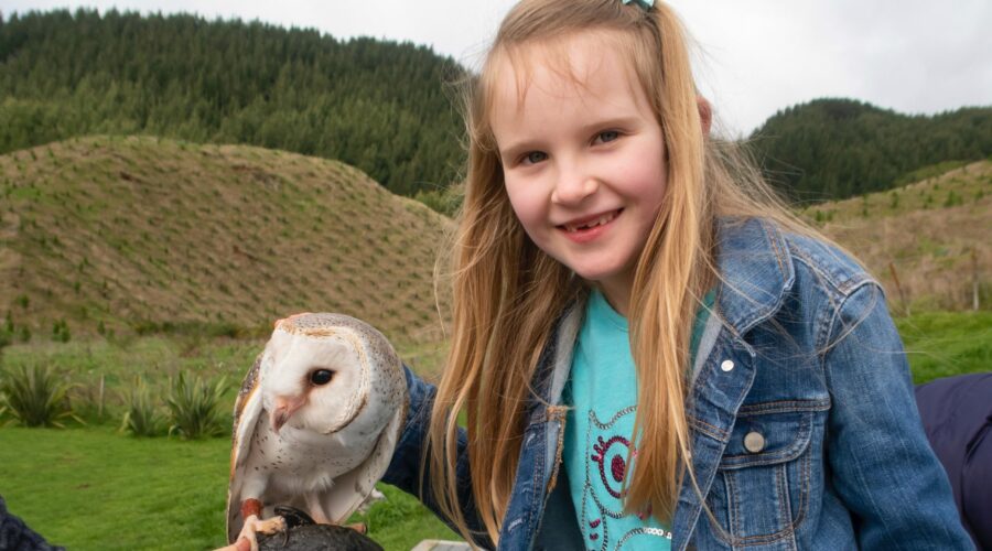 Helping Our Native Birds of Prey