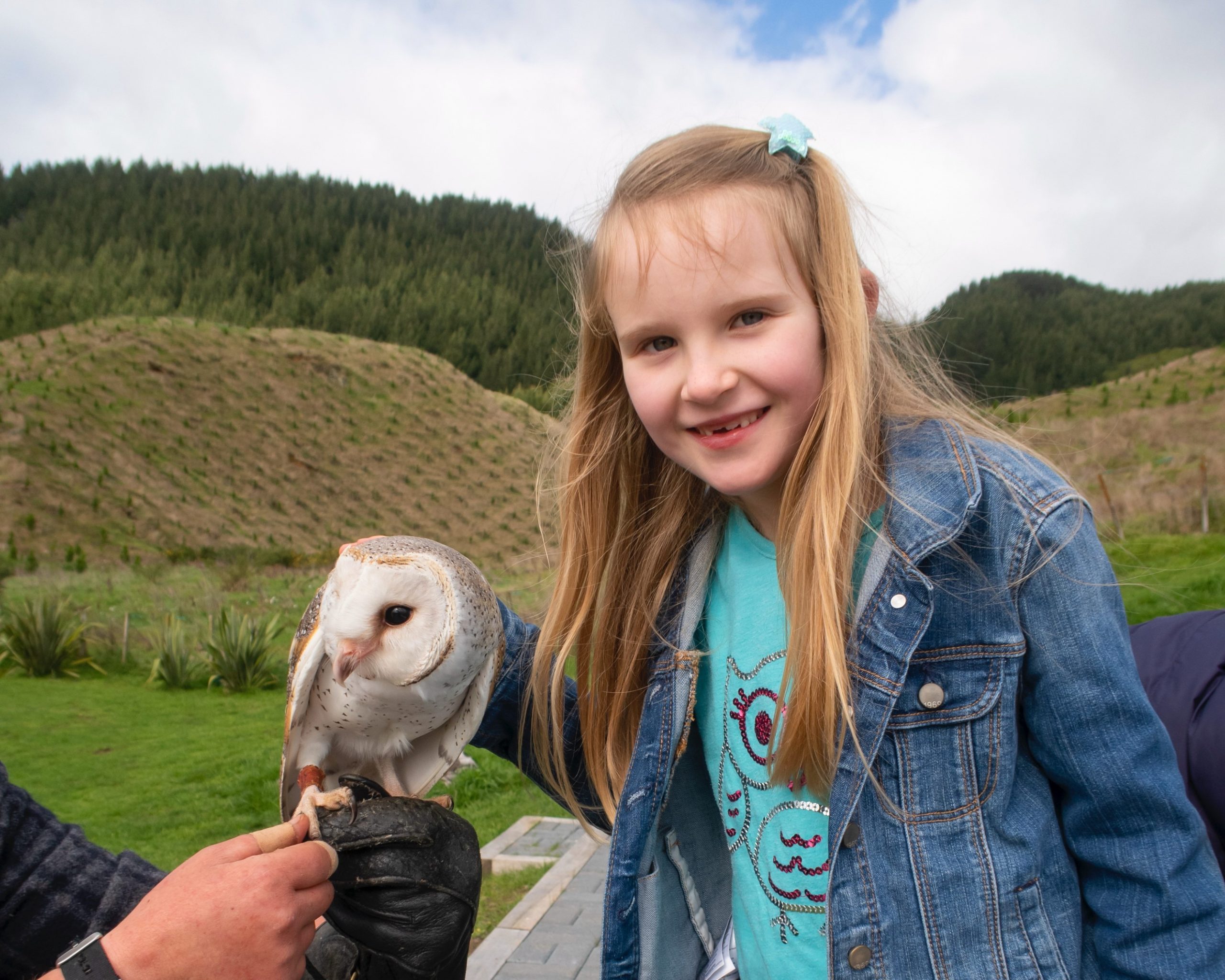 Helping Our Native Birds of Prey