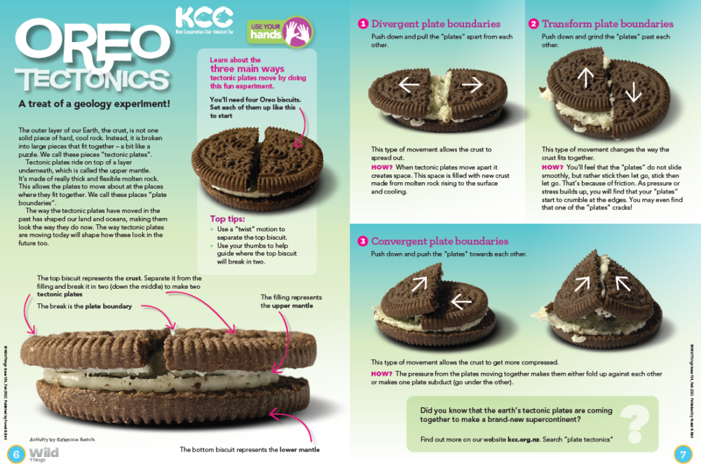 Oreo Tectonics Kiwi Conservation Club
