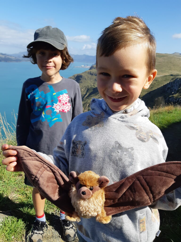 Polly Pekapeka Adventures – Kiwi Conservation Club