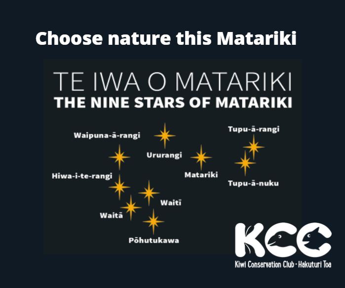 Te Iwa o Matariki 2022 – Kiwi Conservation Club