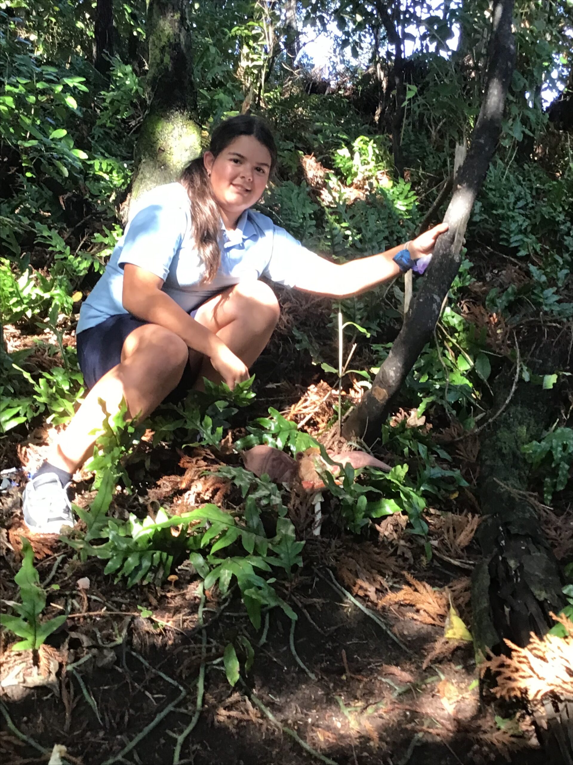 Polly Pekapeka visits Rumā Whā @ Karoro School – Kiwi Conservation Club