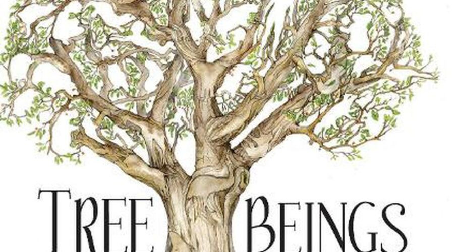 KCC Book Reviews: Tree Beings