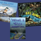 KCC Book Reviews: Freshwater Books