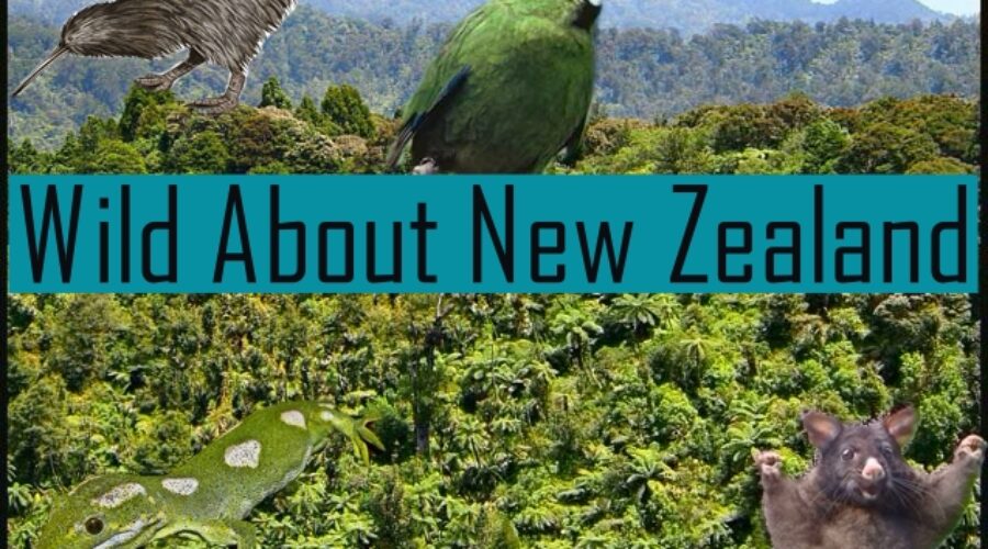 Elijah’s Youtube Channel – Wild about New Zealand