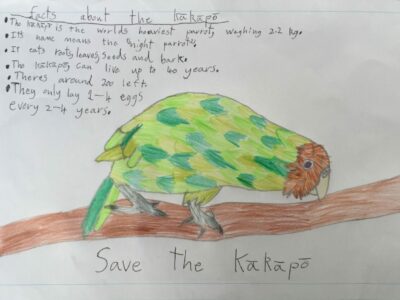 Jasper kakapo facts