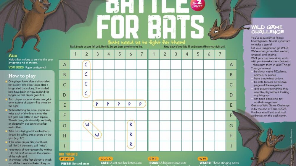 bat game