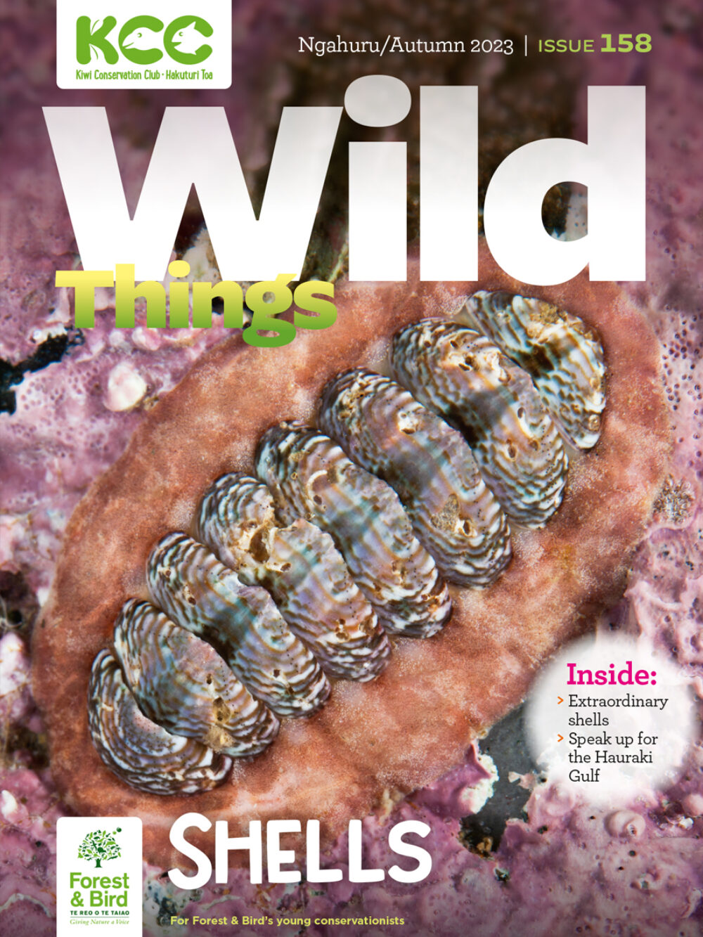 KCC_WildThings_158_Autumn_2023_cover-L