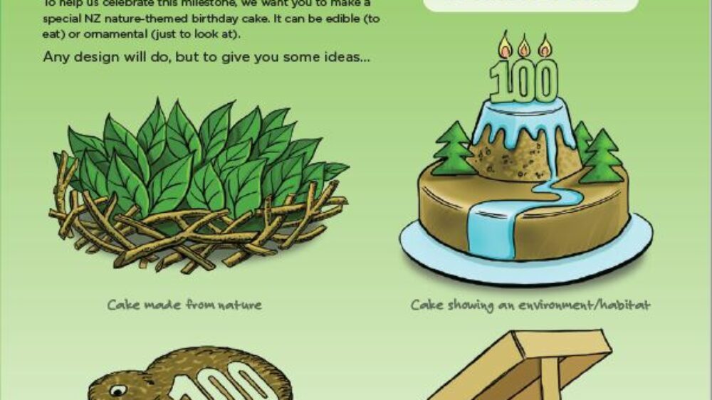 Nature Cake Challenge Pic