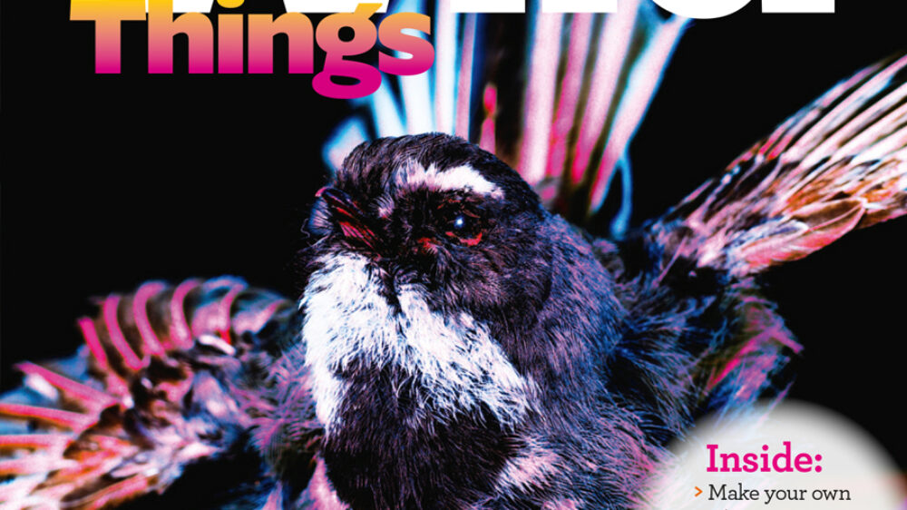 KCC_WildThings_159_Winter_2023_cover (1)