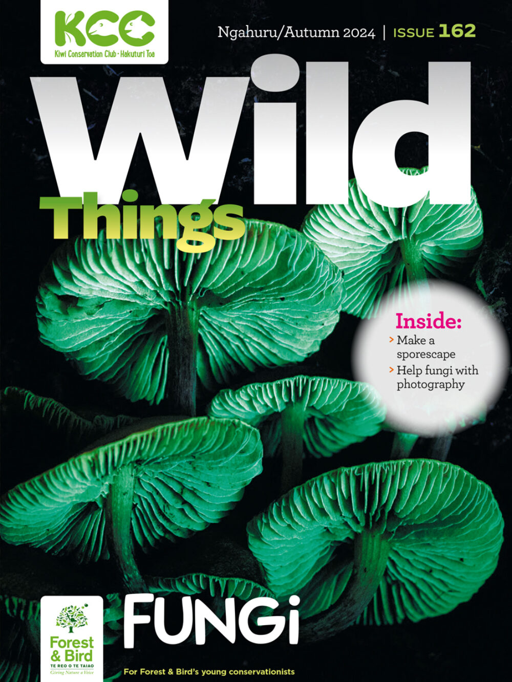 KCC_WildThings_162_Autumn_2024_cover (1)