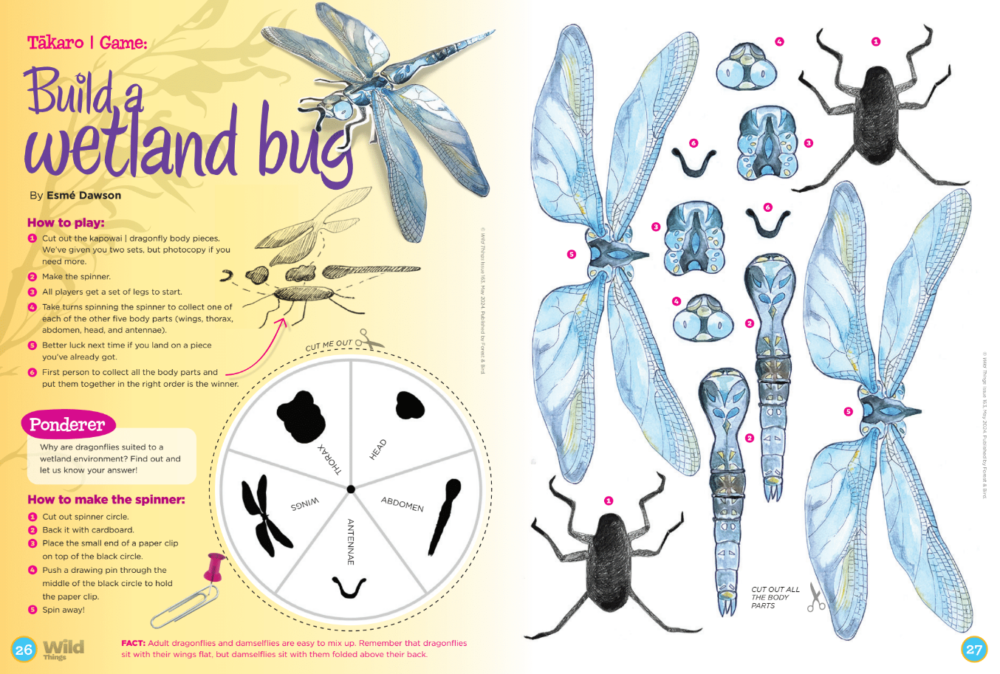 Build a Wetland Bug Game